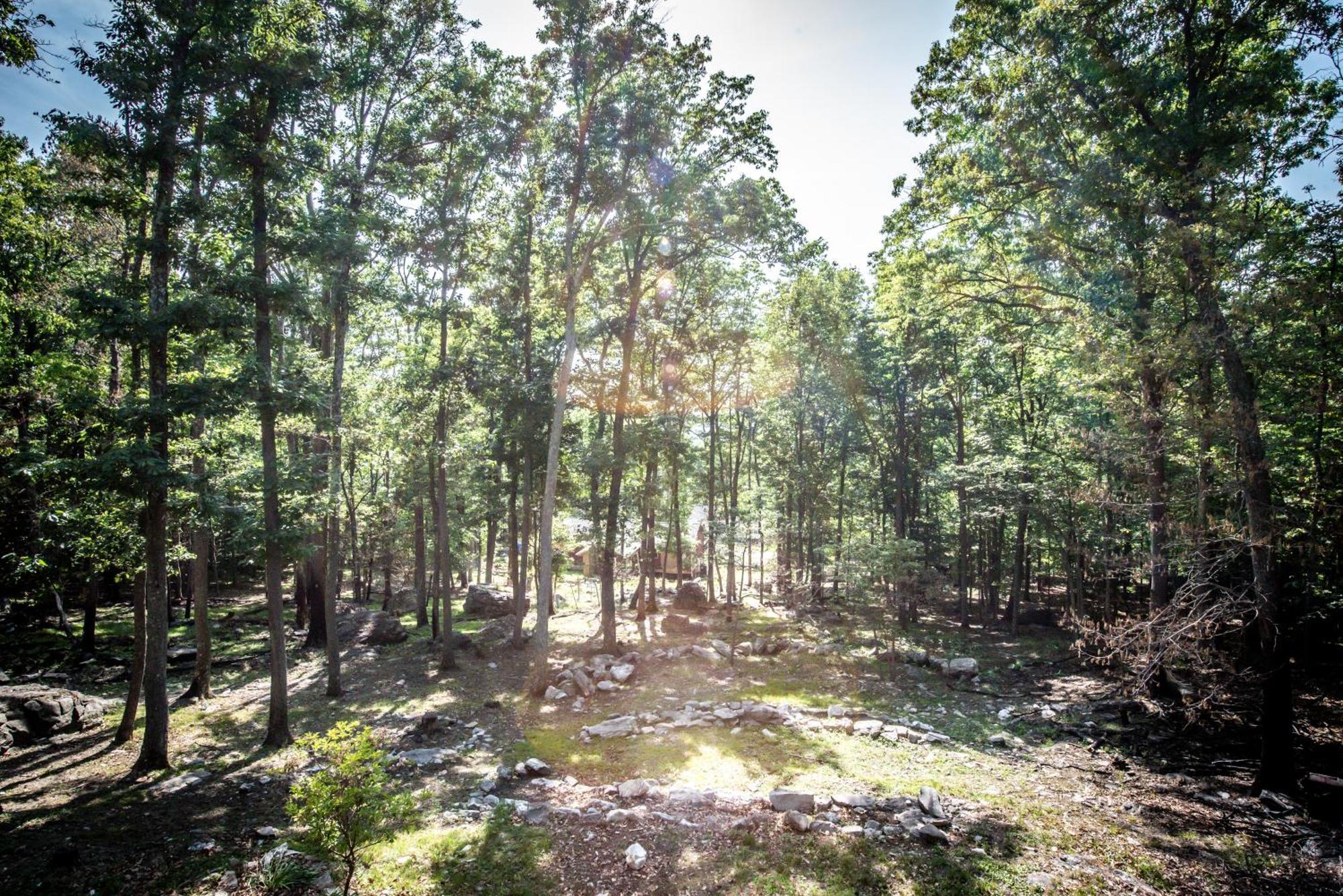 Family Friendly Mountain Cabin With Steam Shower Villa Harpers Ferry Eksteriør billede